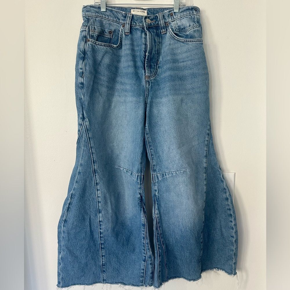 Free People We The Free Eden High Slouchy Flare Jeans 27